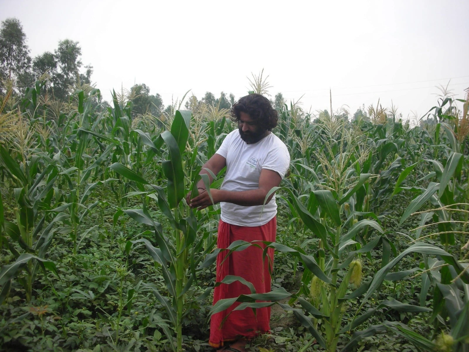 Enlightenment & the Birth of Anant Dham image 4