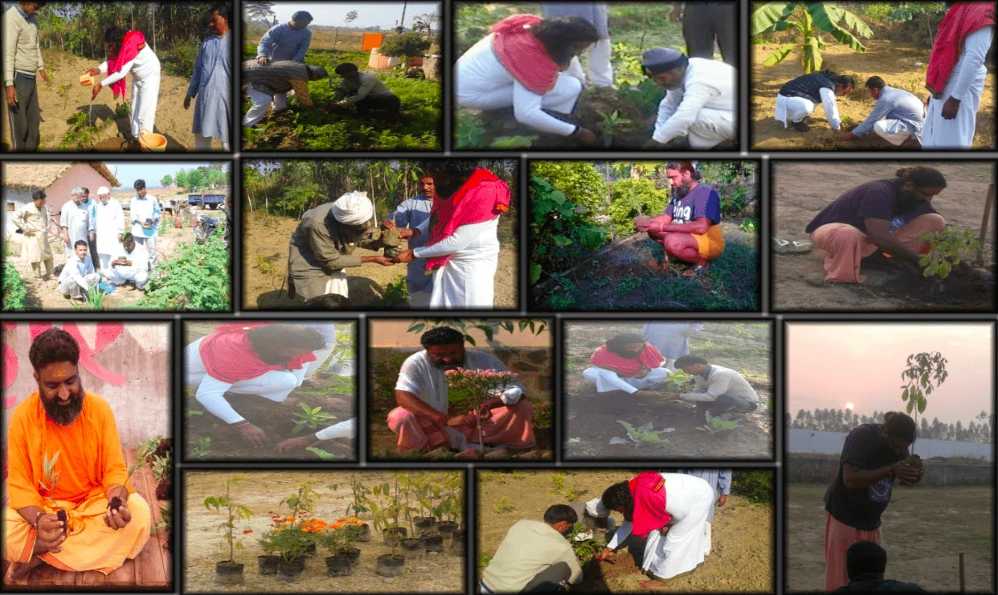 Harita Aaranya image